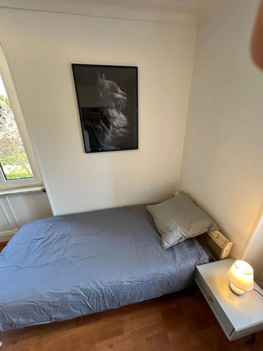 Magnifique Appartement F3. 4 A 6 Personnes Lutterbach エクステリア 写真