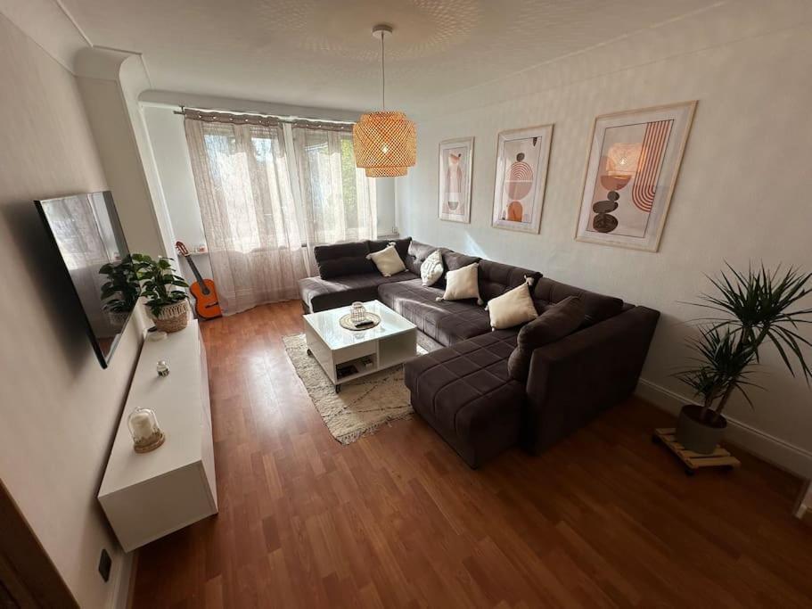 Magnifique Appartement F3. 4 A 6 Personnes Lutterbach エクステリア 写真