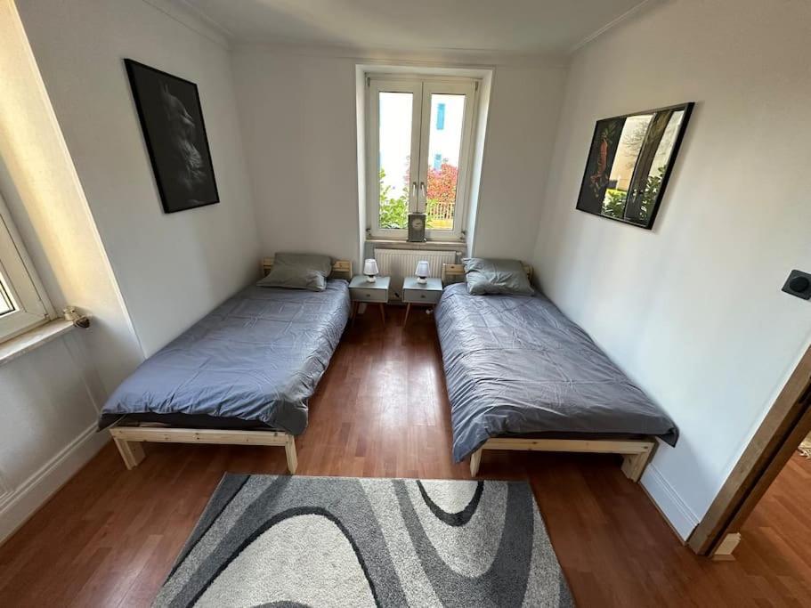 Magnifique Appartement F3. 4 A 6 Personnes Lutterbach エクステリア 写真